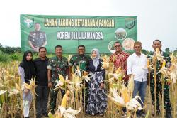 Danrem Lilawangsa Bersama Masyarakat Panen Raya Jagung 8 Hektar di Aceh Utara