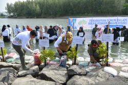 Pj Gubernur Aceh dan Kepala BNPB Tanam 2.600 Bibit Mangrove Rihzophora di Kuala Cangkoi