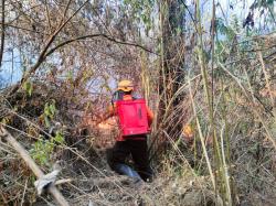 Kebakaran Hutan Hanguskan Gunung Roti Kawasan  Ijen