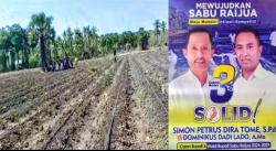 Inovasi Paket SOLID Menanam Jagung di Musim Kemarau dengan Menggunakan Teknologi irigasi Tetes