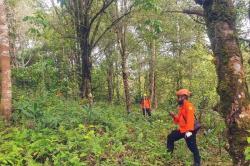Operasi SAR Gabungan Cari Lansia Hilang di Hutan Maluku Tengah Belum Berhasil