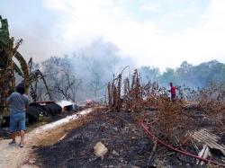 Kebakaran Hebat, Tewaskan 13 Ekor Kambing di Dalam Kandang