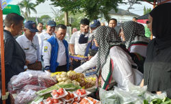 Program Dumisake : Al Haris Kucurkan Rp 35,3  M untuk Pembangunan Sektor Pertanian