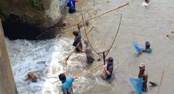 Seru! Ratusan Orang Berburu Ikan saat Bendungan Sungai Balongsono Jombang Dikuras