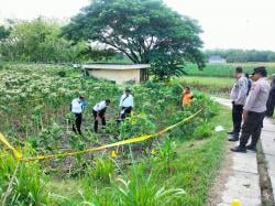 Tragis! Seorang Petani di Bojonegoro Meninggal Setelah Tertimpa Sabitnya