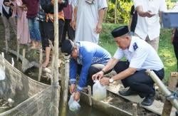 Kunjungi Desa Pammulukang Mamuju, Pj Bahtiar Bantu Bibit Ikan Nila