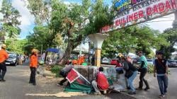 Pohon Tumbang Timpa Gerobak Pedagang di Komplek Olahraga Dadaha Kota Tasikmalaya