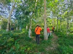 Lansia Hilang di  Sungai Pagar, Tim SAR Sasar Perkebunan