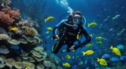 Diving di Raja Ampat dan Bunaken Paling Favorit, Tren Wisata Petualangan Meningkat