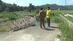 Jalan Penghubung Lima Desa di Tapango Putus, Abrasi Sungai Ancam Ratusan Hektar Sawah Habis Terkikis