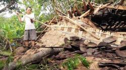 Tertimpa Pohon Pete Kandang Milik Warga di Boyolali Ambruk Rata Dengan Tanah