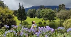 6 Tempat Menarik di Kebun Raya Cibodas, Curug Ciismun Adrenalin Jadi Naik, Taman Sakura Hati Adem