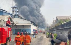 Pabrik di Kawasan Pejuang Bekasi Kebakaran, 14 Unit Damkar Dikerahkan