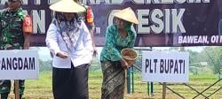 Sejalan Nawa Karsa Gresik Agropolitan, Pipanisasi Ditarget Aliri 646 Hektar Sawah Bawean