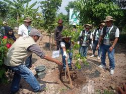 Peringati Hari Puspa dan Satwa, Pegadaian dan Pemkot Bandung Tanam Ribuan Pohon