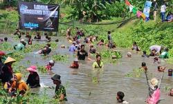 Dukungan Komunitas Lokal, Peran Lingsanggeni dalam Acara Ngobeng Balong Pasangan HUDANG