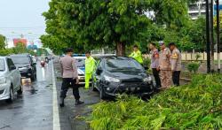 Kartasura Dilanda Angin Kencang, 1 Mobil Ringsek Tertimpa Pohon Tumbang