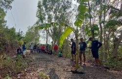 Protes Jalan Rusak Tak Diperbaiki, Warga Kulonprogo Tanam Pohon Pisang