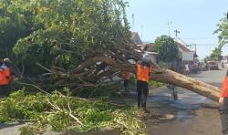 BPBD Imbau Warga Kota Probolinggo Tanggap Terhadap Bencana Hidrometorologi