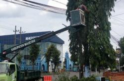 Antisipasi Cuaca Ekstrem, DLHP Magetan Intensifkan Pemangkasan Pohon di Jalan dan Fasum