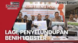 Penyelundupan Benih Lobster Kembali Digagalkan, Kapal Pelaku Dikandaskan di Hutan Bakau