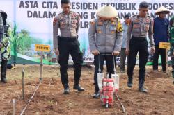 Dukung Ketahanan Pangan, Polres Kendal Tanam Jagung di Lahan Seluas 43,3 Ha