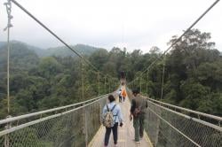 10 Tempat Wisata di Cibodas Ada Jalur Trekking Menantang, Lelah tapi Menyenangkan dan Sehat