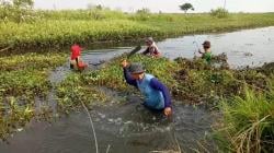 Cegah Banjir, Desa Rawameneng Subang Gencarkan Aksi Bersih Kali Pepetan