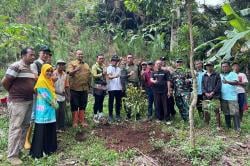 Penghijauan 1.000 Pohon Durian Bawor di Tambaknegara, Upaya Angkat Ekonomi Warga