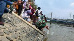 Peringatan 90 Tahun Berkarya, Suster PI Tabur 9.000 Benih Ikan di Banjir Kanal Barat Semarang