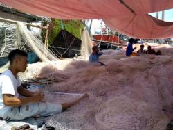 Produksi Ikan Melimpah, Kabupaten Indramayu Jadi yang Terbesar