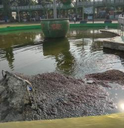 Kolam Air Mancur di Alun Alun Kota Probolinggo Kotor dan Bau, Akibat Minimnya Kesadaran Masyarakat