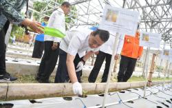 Wamendes Minta Warga Bekasi Siapkan Potensi Pangan Tunjang Makan Gratis