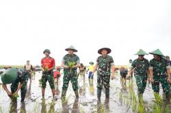 Kasad Jenderal TNI Maruli Simanjuntak Tinjau Proyek Strategis Nasional Di Merauke