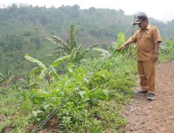 Kabel Listrik di Dusun Terpencil Probolinggo Tanpa Tiang Penyangga, Ditambah Akses Jalan Rusak