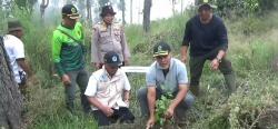 Perhutani KPH Pekalongan Barat Lakukan Penyulaman dan Pemeliharaan Tanaman di Hutan Lindung Lereng G