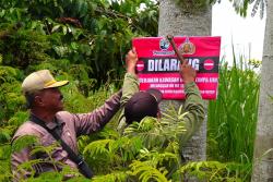 Perum Perhutani KPH Probolinggo Pastikan Tidak Ada Alih Fungsi Hutan di Wilayah Lumajang