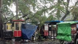 Pohon Tumbang Timpa Gerobak dan Sepeda Motor di Dadaha Tasikmalaya