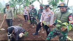 Dukung Program Ketahanan Pangan, TNI Laksanakan Penanaman Pohon Sukun