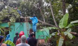 Pohon Tumbang Menimpa Rumah Warga di Banjarsari Ciamis