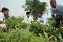 Paguyuban Petani Ubi Cipanas Siap Menangkan Herman-Ibang