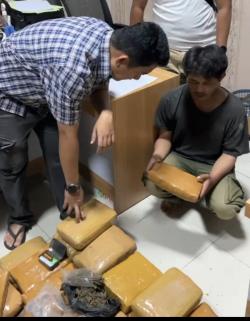 Operasi Senyap di Lampung: 53 Kilogram Ganja Gagal Tembus Jakarta