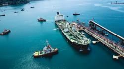 PTP Nonpetikemas Teluk Bayur: Implementasikan Pelabuhan Ramah Lingkungan dan Efisiensi Produktifitas