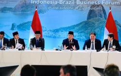 Potensi Kembangkan Energi Hijau, Presiden Prabowo Sebut Indonesia Komitmen pada Energi Terbarukan