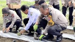 Memaksimalkan Lahan Produktif untuk Ketahanan Pangan