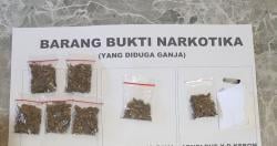 Terjerat Narkoba, Satu Wanita dan Dua Pria Dibekuk Polisi, Diduga Pakai Narkotika Jenis Ganja