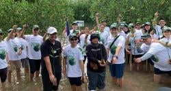 PT CGS International Sekuritas Indonesia Gelar Mangrove Project 