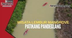 Gratis dan Seru! Lembur Mangrove Patikang di Pandeglang Jadi Favorit Wisatawan