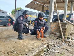 Geger! Polres Way Kanan dan Brimob Polda Lampung Sterilisasi TKP Penemuan Granat di Banjar Masin