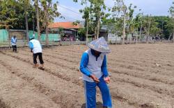 Lapas Surabaya Pacu Ketahanan Pangan, Warga Binaan Diberdayakan Tanam Jagung dan Sayur